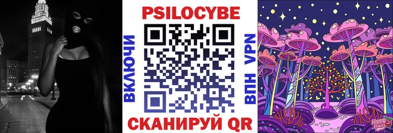 Псилоцибиновые грибы Psilocybe  Приморско-Ахтарск 