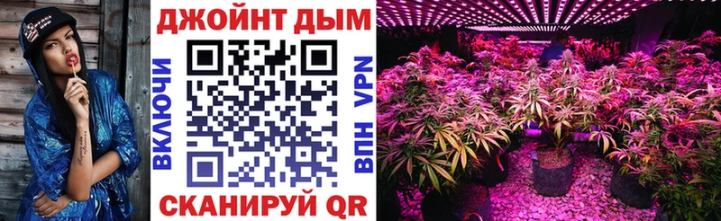 omg вход Приморско-Ахтарск МАРИХУАНА планчик даркнет сайт